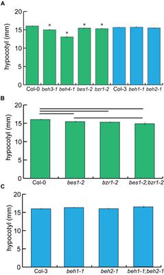 Redundancy, Feedback, and Robustness in the Arabidopsis thaliana BZR/BEH Gene Family